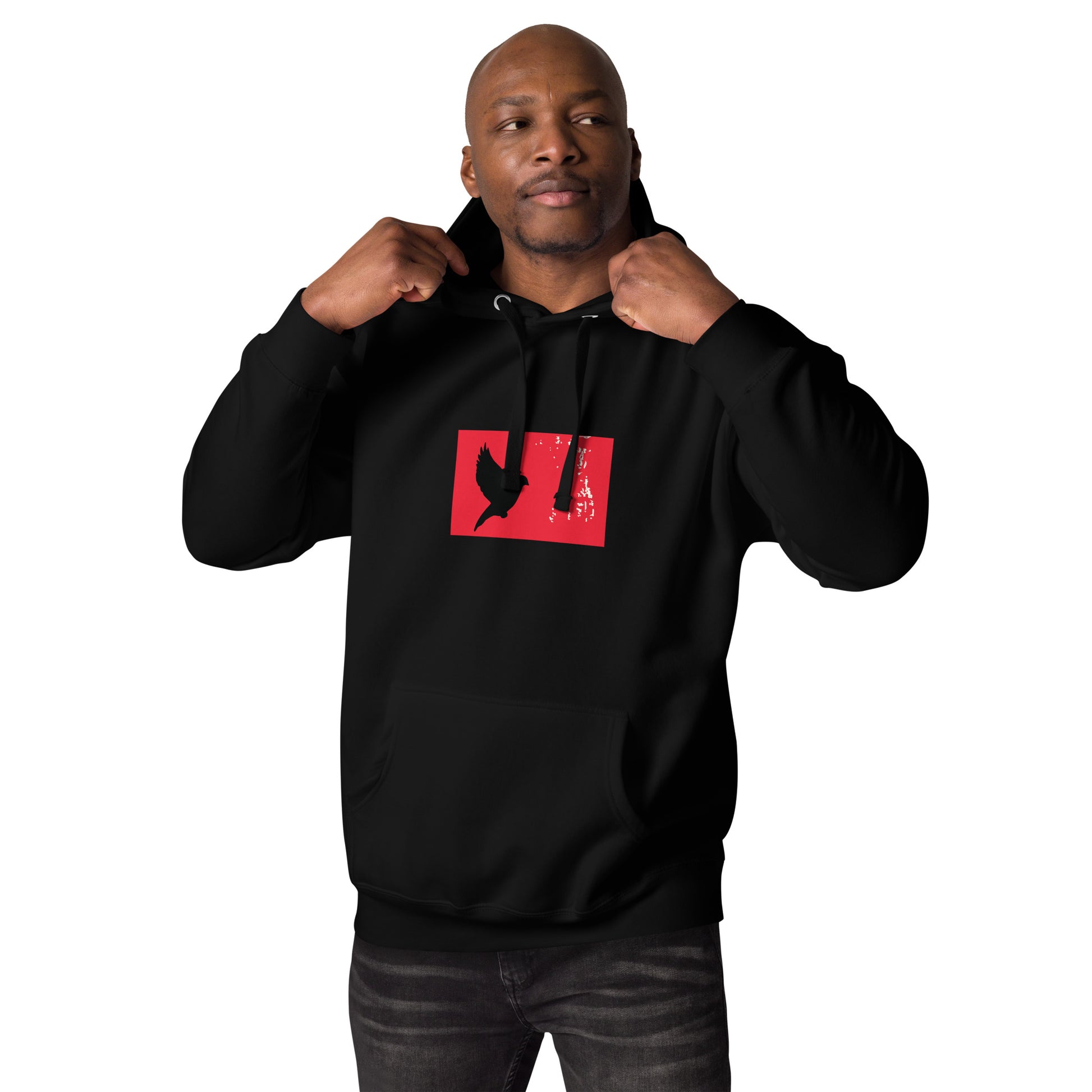 TAKE FLIGHT Hoodie - SOULSKY