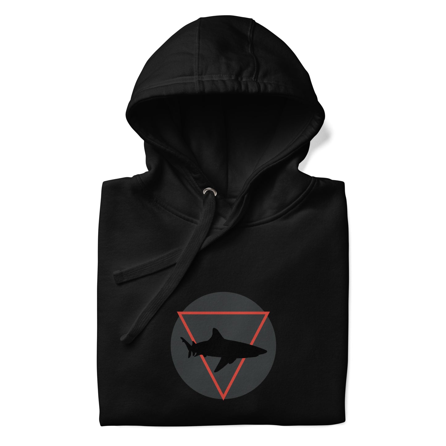 DREAM CHASER Hoodie