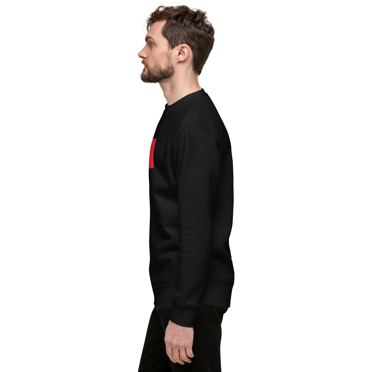 TAKE FLIGHT Sweatshirt