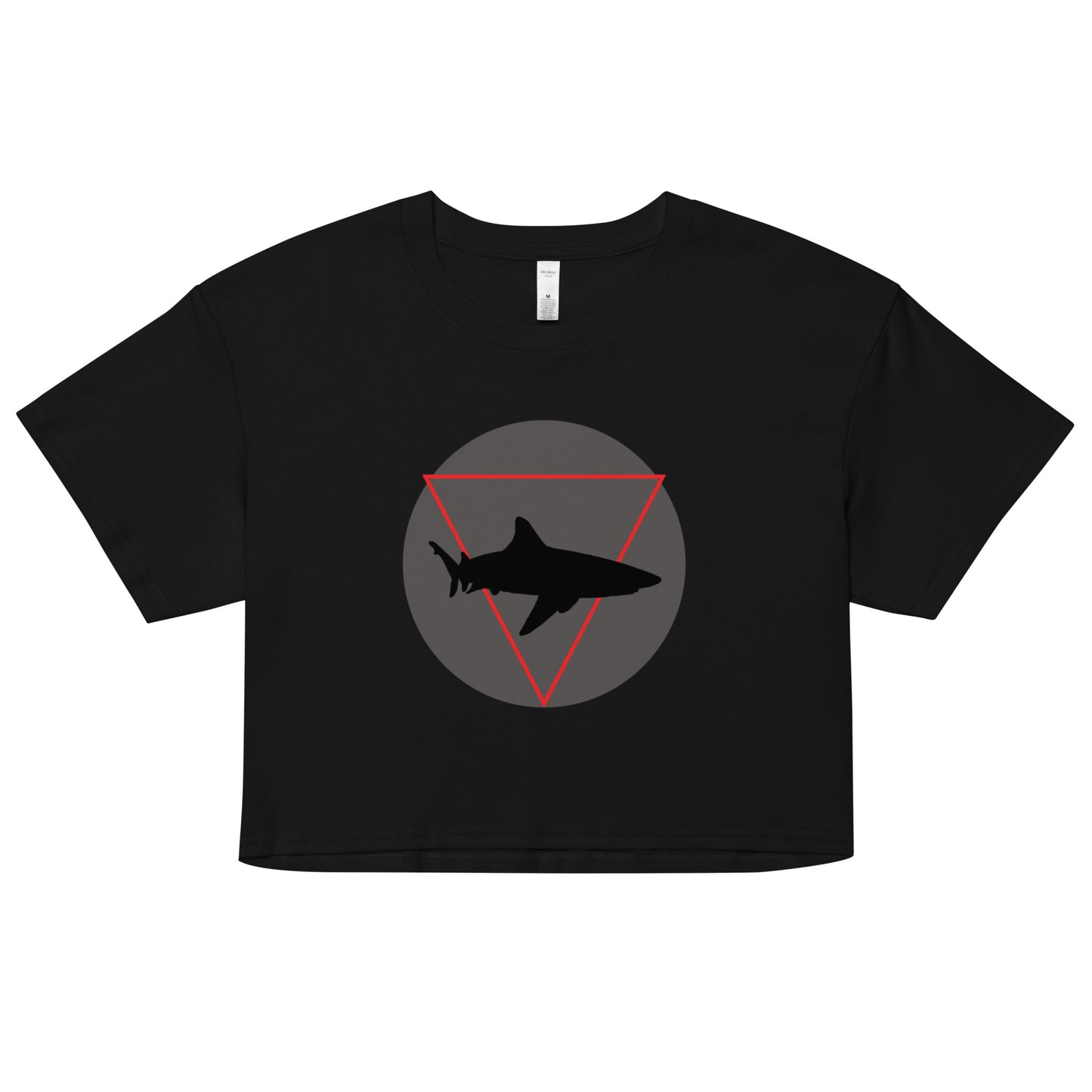 DREAM CHASER Crop Top Tee
