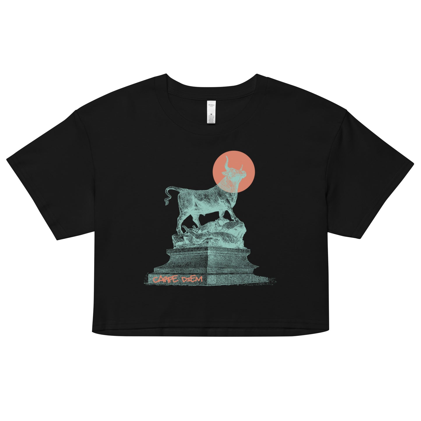 CARPE DIEM Crop Top Tee