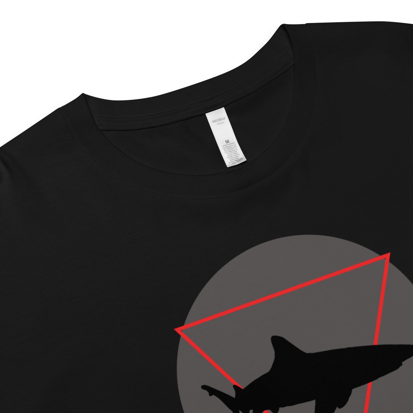 DREAM CHASER Crop Top Tee
