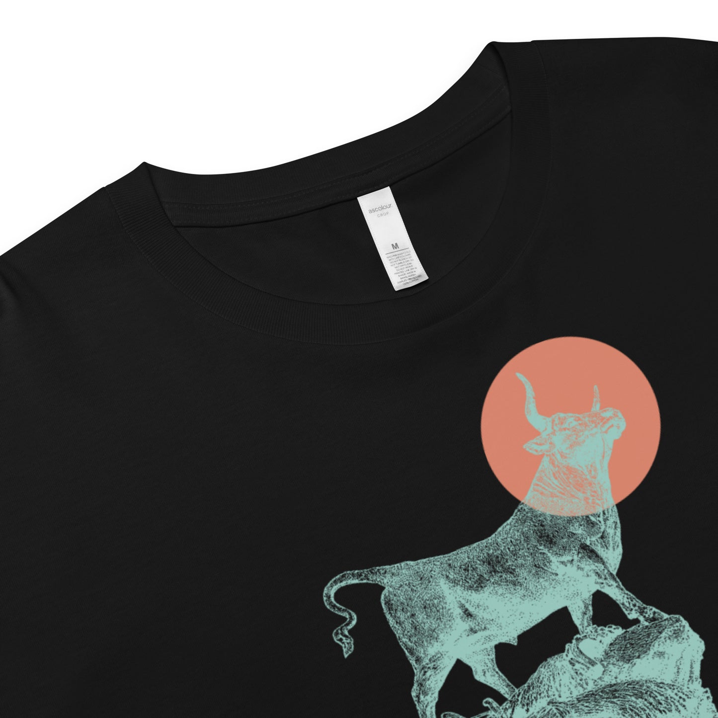 CARPE DIEM Crop Top Tee