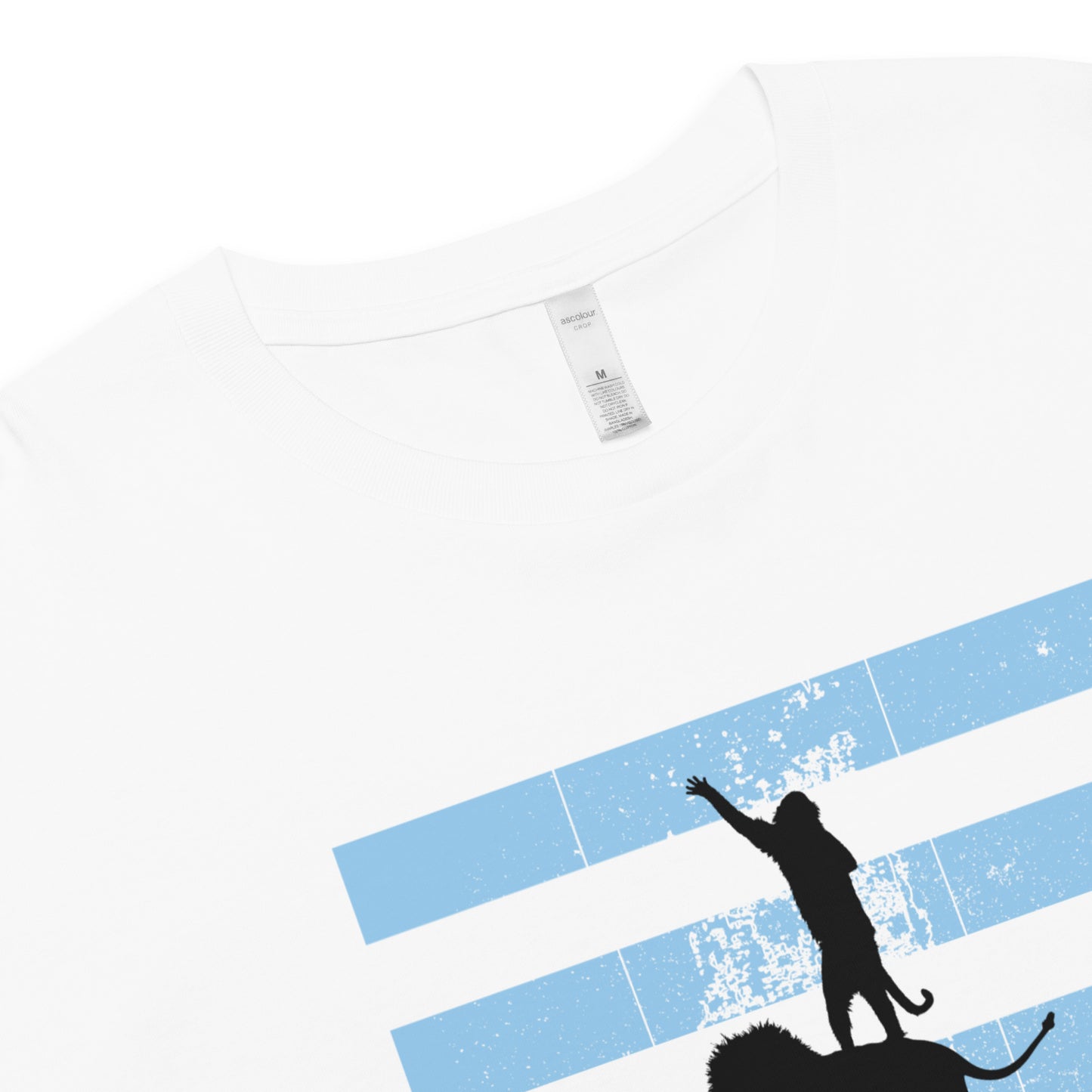 VICTORIOUS Crop Top Tee