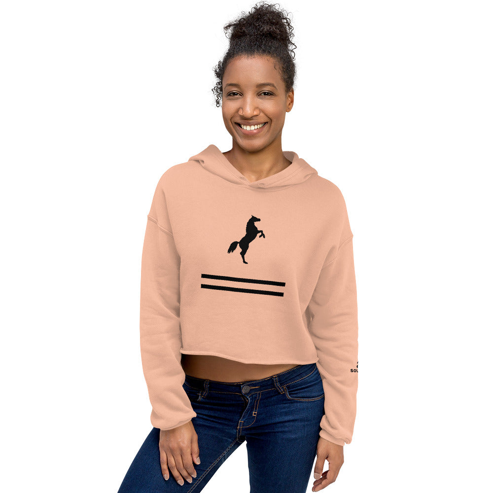 ELEVATE Cropped Hoodie (Pink)