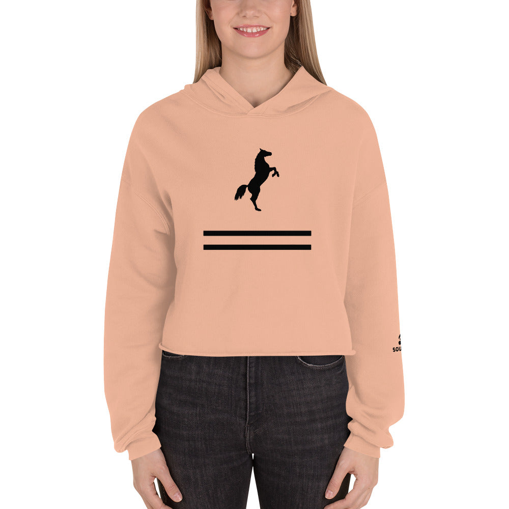 ELEVATE Cropped Hoodie (Pink)