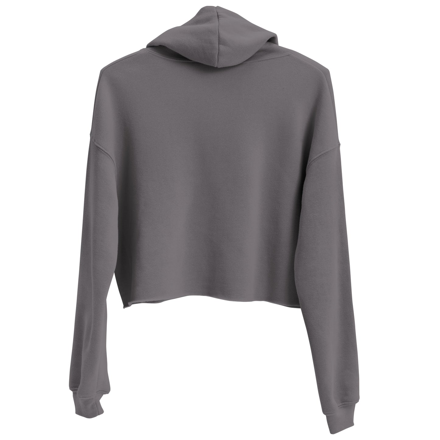 SOULSKY Logo Cropped Hoodie (Storm Gray)