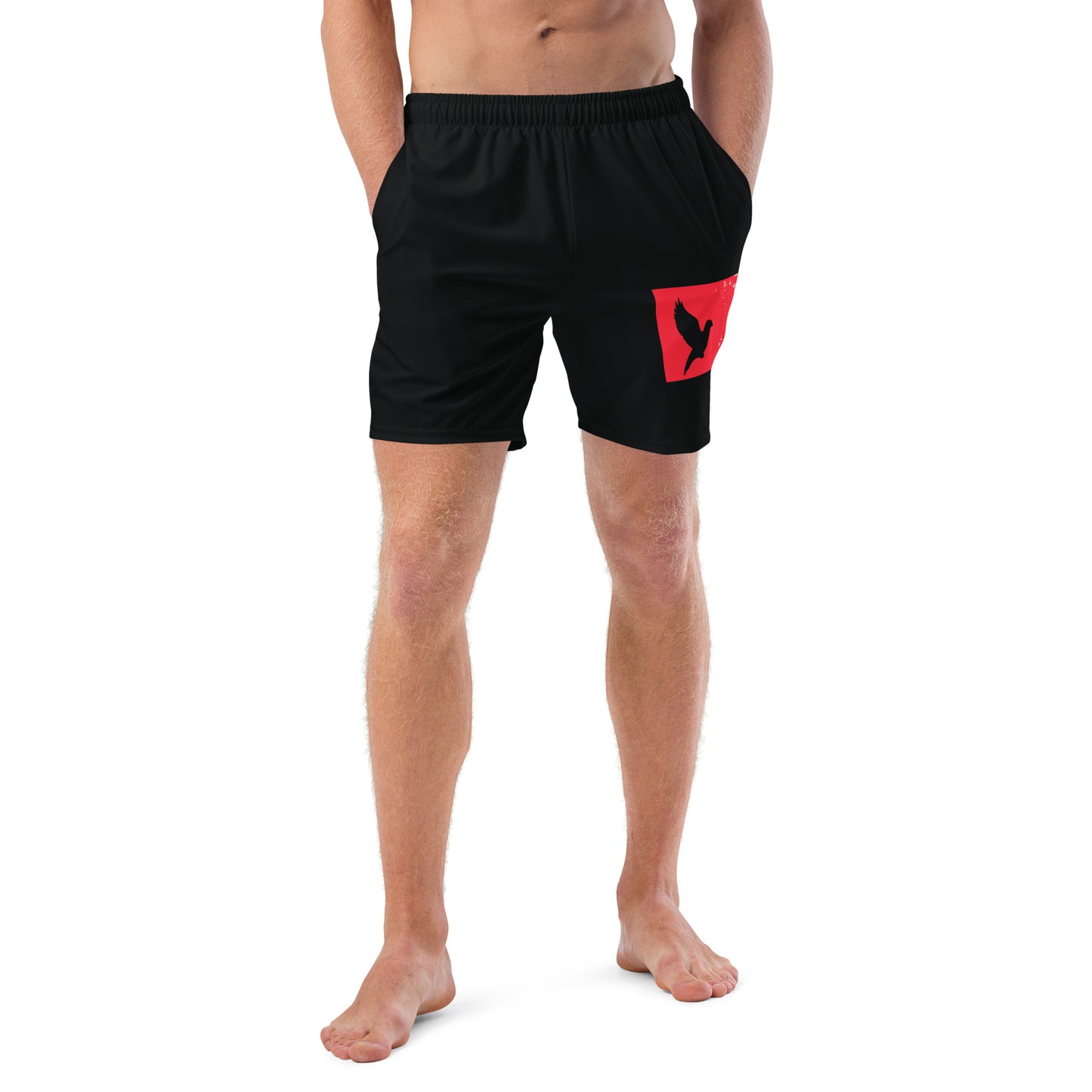 TAKE FLIGHT Men's Swim Trunks