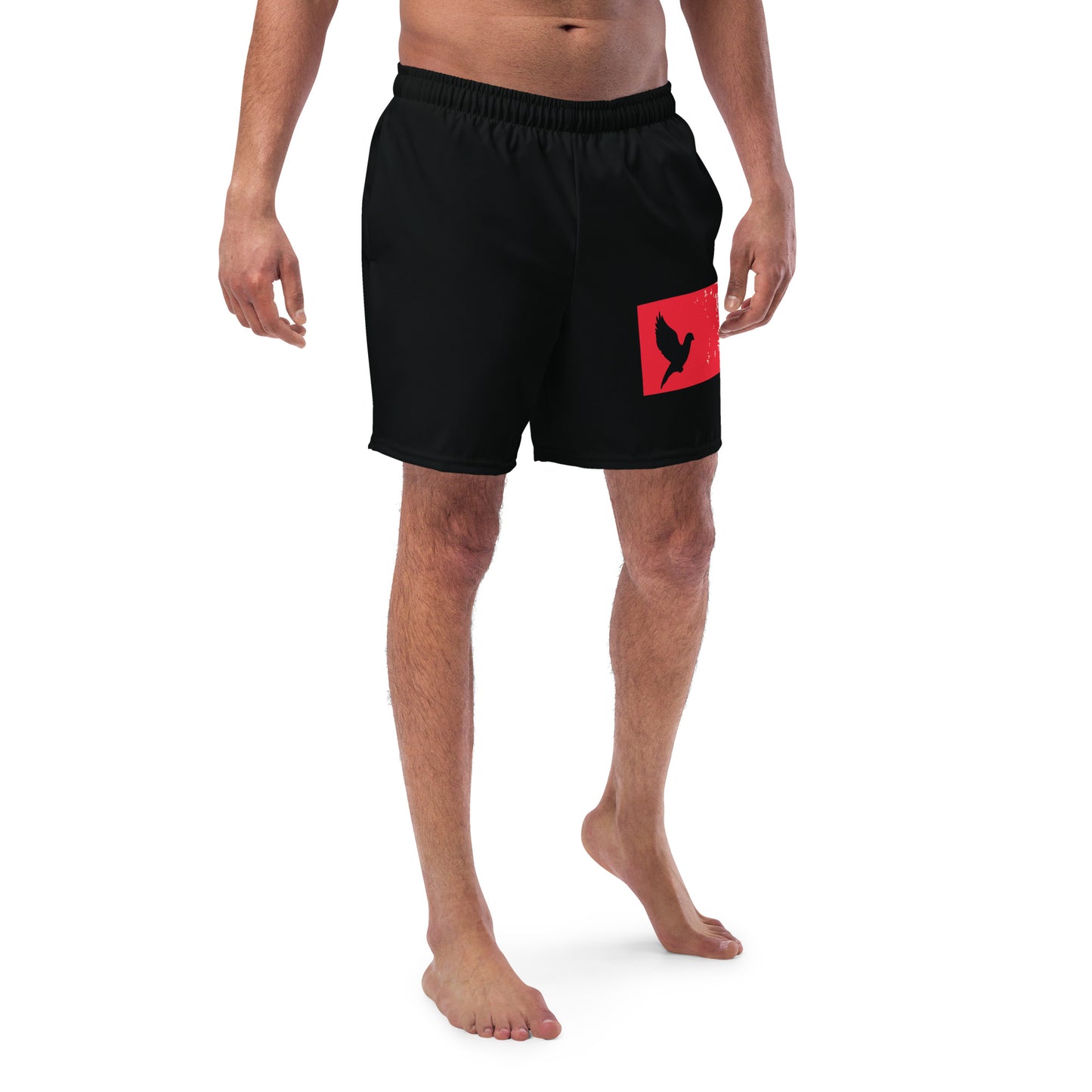 TAKE FLIGHT Men's Swim Trunks