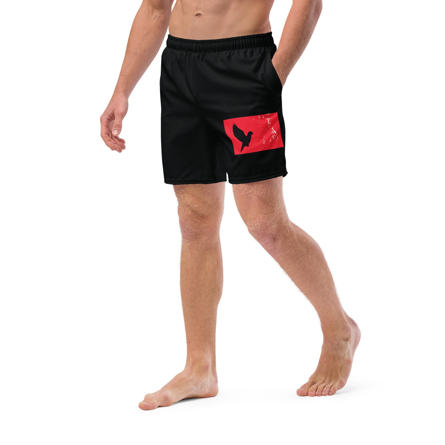 TAKE FLIGHT Men's Swim Trunks