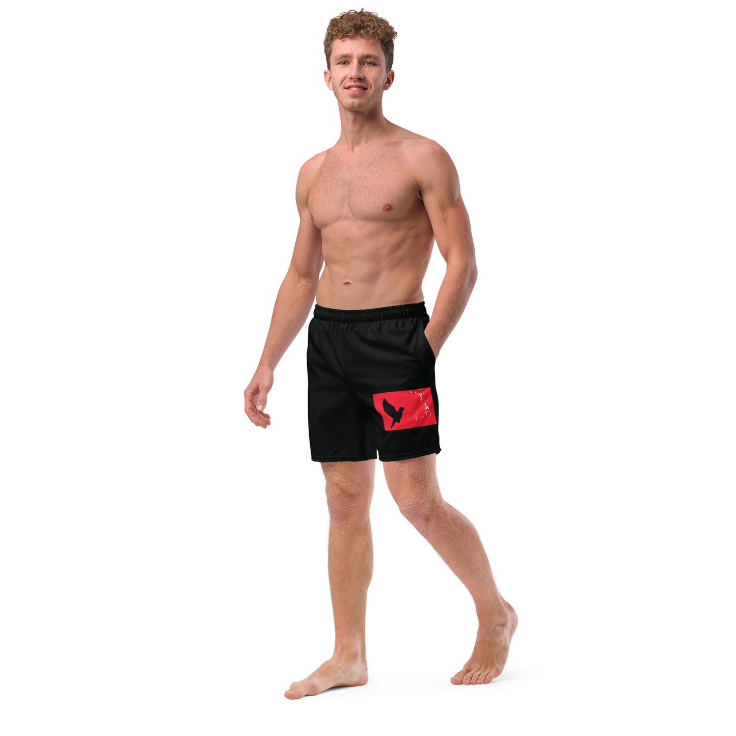 TAKE FLIGHT Men's Swim Trunks