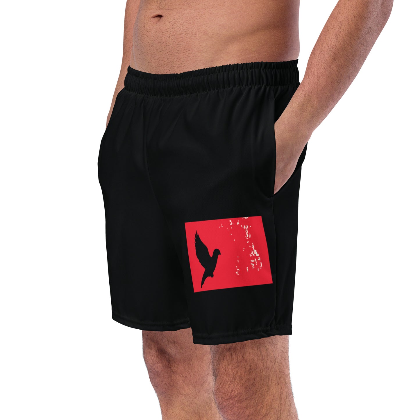 TAKE FLIGHT Men's Swim Trunks