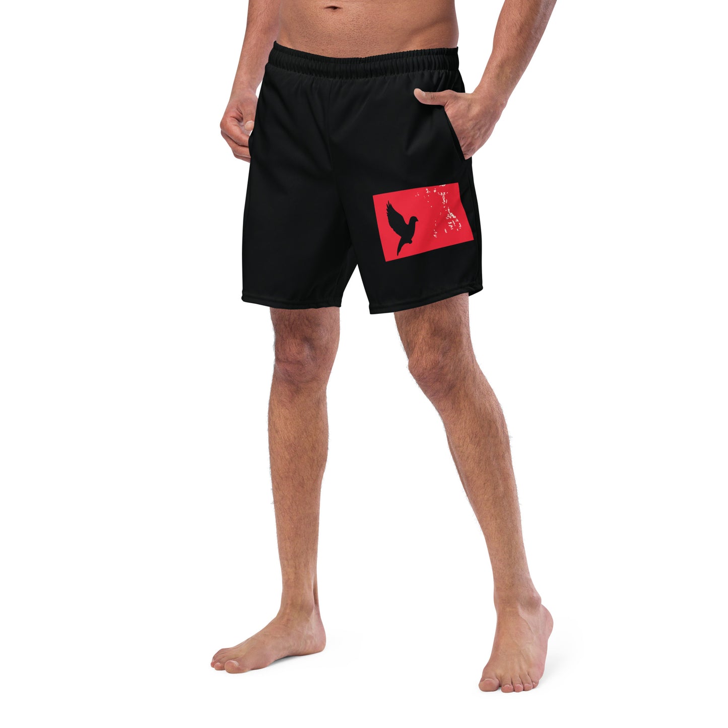 TAKE FLIGHT Men's Swim Trunks