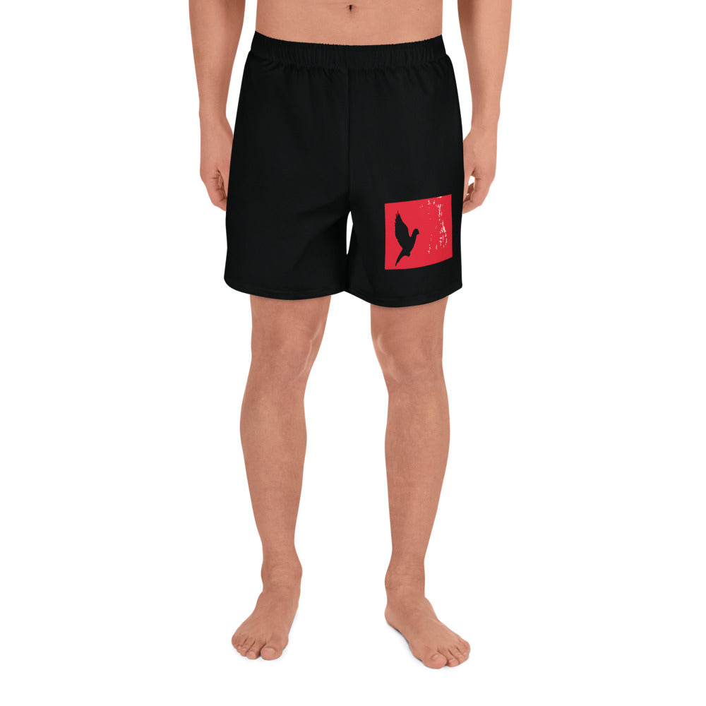 TAKE FLIGHT All-Over Print Unisex Athletic Long Shorts