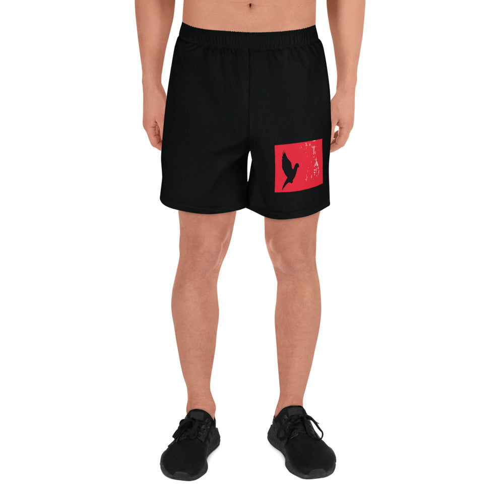 TAKE FLIGHT All-Over Print Unisex Athletic Long Shorts