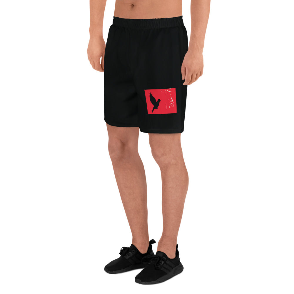 TAKE FLIGHT All-Over Print Unisex Athletic Long Shorts